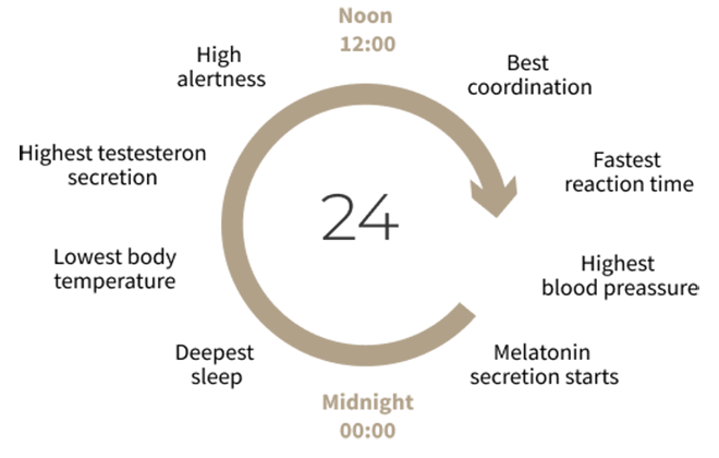 The Circadian Rhythm What Is It And Why Is Matters Led Skylights 